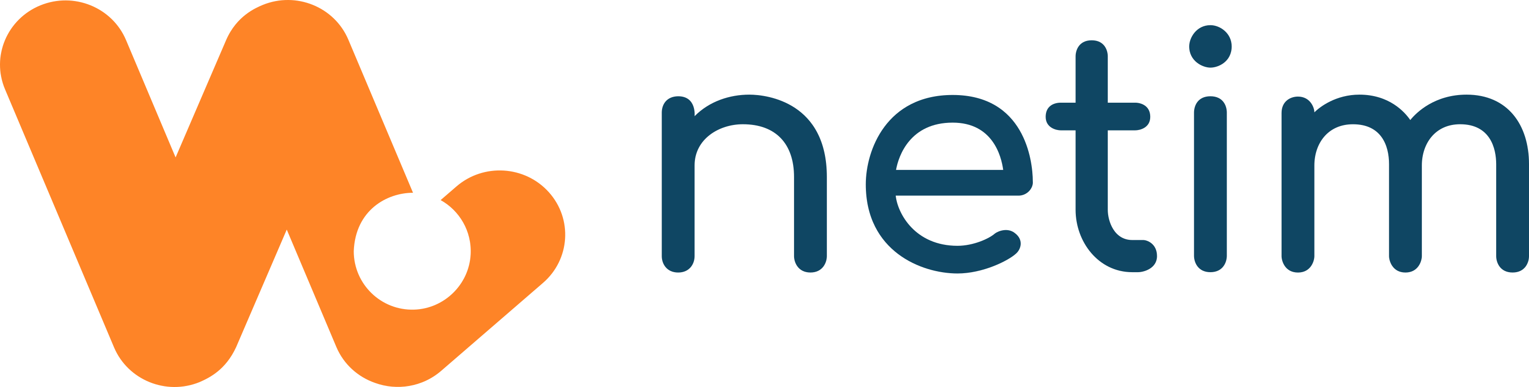 Logo NETIM